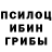 Псилоцибиновые грибы мухоморы dmsthf9