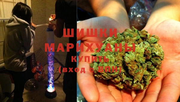 дурь Богданович