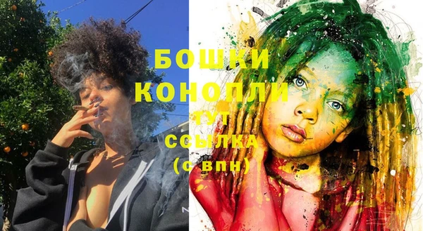 дурь Богданович