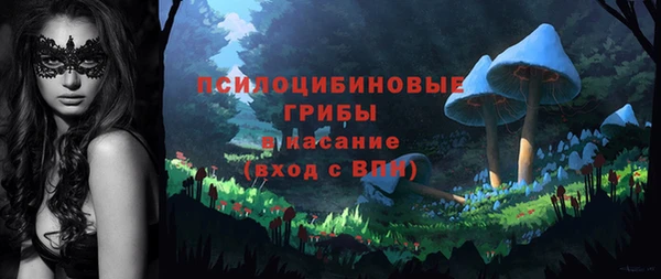 дурь Богданович